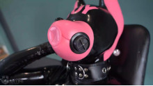 あなたはラテックスコスプレイヤー それともトイ ドッグ
